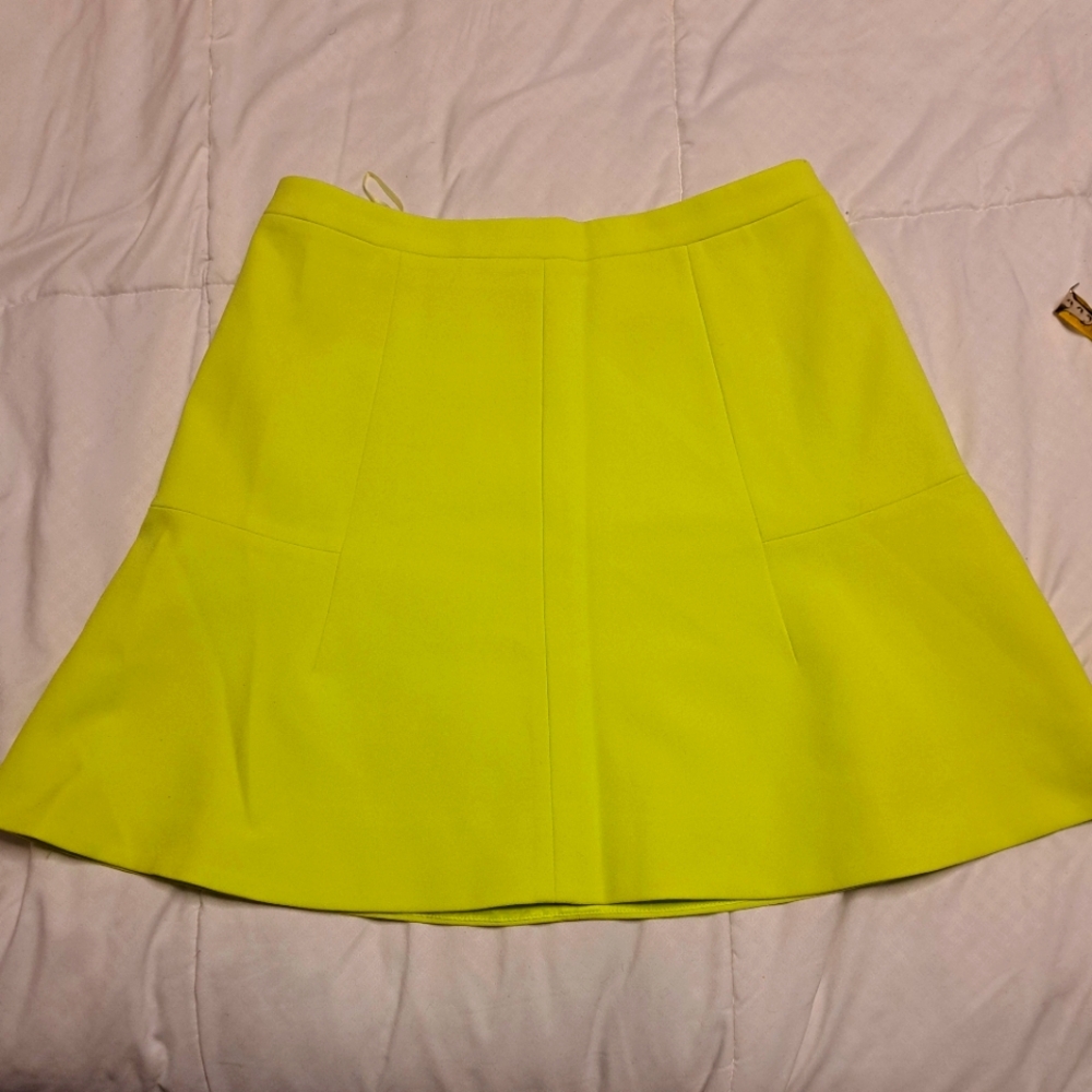 J Crew Skirt